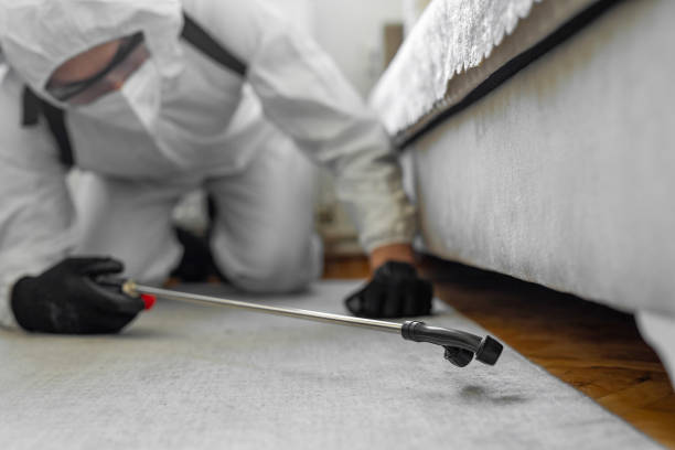 Professional Cockroach Control technician working in Colton, CA